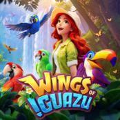 wings iguazu